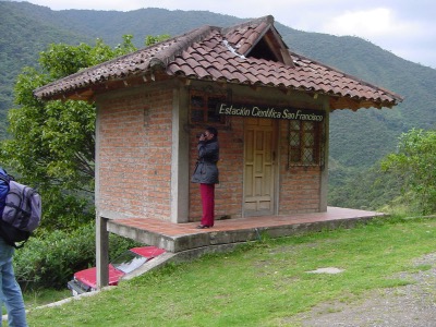 Cloud Forest - San Francsico Forest